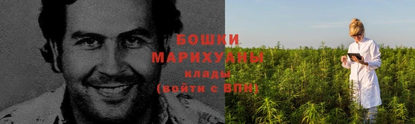 МДПВ Бородино
