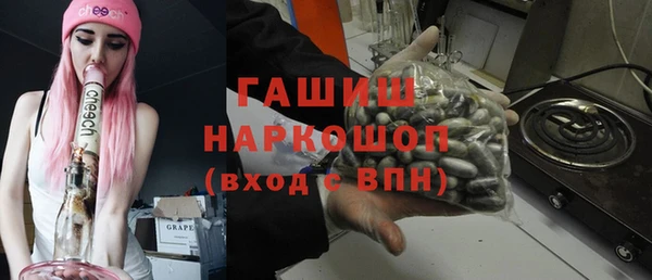 МДПВ Бородино