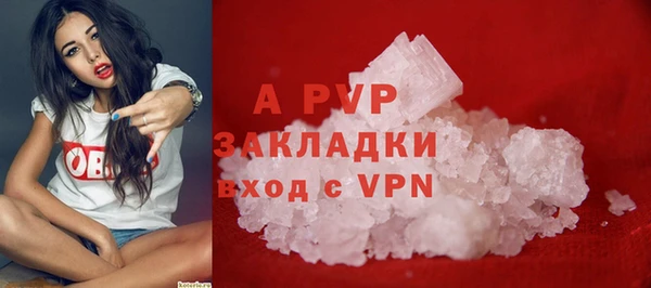 МДПВ Бородино