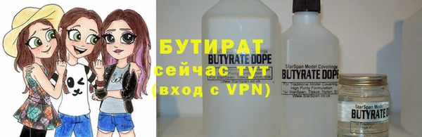 МДПВ Бородино