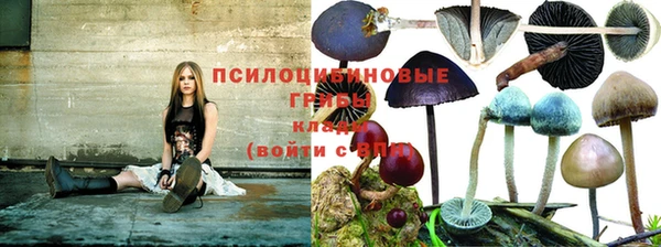 МДПВ Бородино
