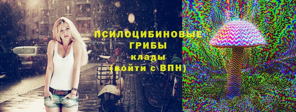 МДПВ Бородино