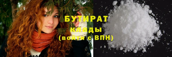 МДПВ Бородино