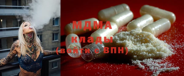 МДПВ Бородино
