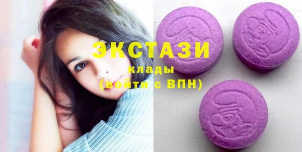 МДПВ Бородино